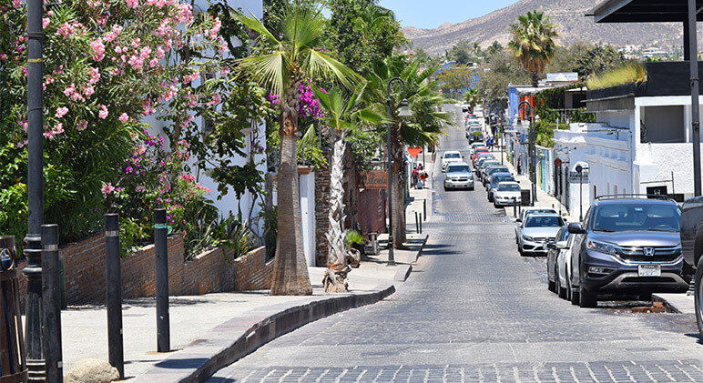 Cabo San Lucas is tourism personified. If you're looking for a more authentic vibe, a quick road trip will fill your heart with Mexican culture 